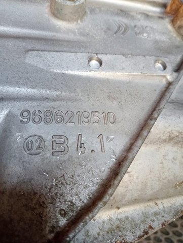 9686219510 Peugeot/Citroen