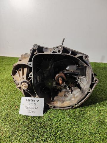 9686219510 Peugeot/Citroen