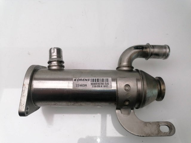 9686916780 Peugeot/Citroen