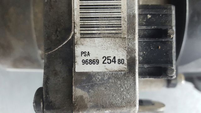 9686925480 Peugeot/Citroen
