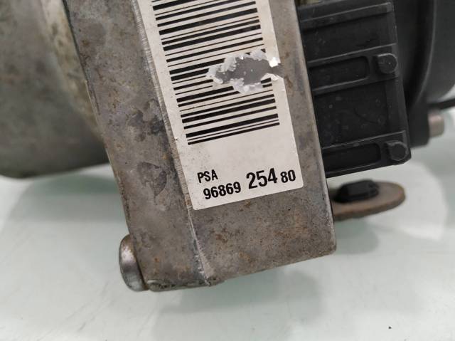 9686925480 Peugeot/Citroen