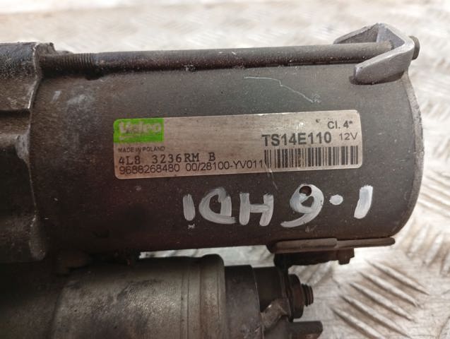 9688268480 Peugeot/Citroen