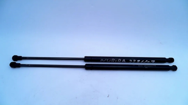 Amortecedor de tampa de porta-malas (de 3ª/5ª porta traseira) 96940955 GM