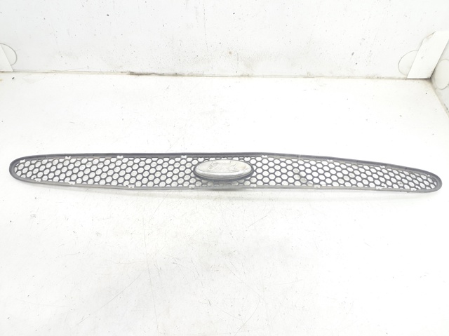 Grelha do radiador Ford Ka  RBT ao melhor preço