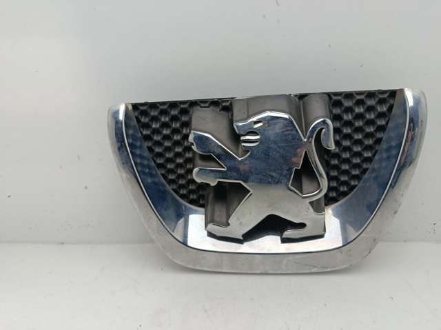 9800313880 Peugeot/Citroen