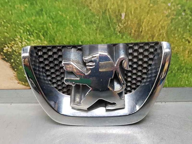 9800313880 Peugeot/Citroen