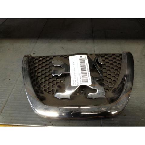 9800313880 Peugeot/Citroen