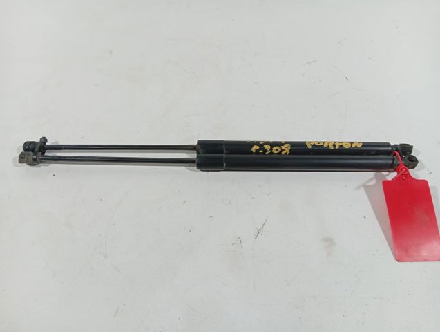 Amortecedor de tampa de porta-malas (de 3ª/5ª porta traseira) 9800377380 PEUGEOT