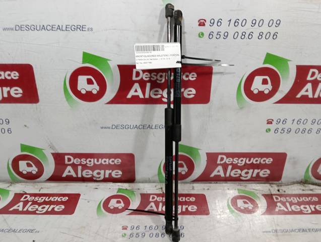 9800717680 Peugeot/Citroen