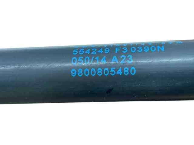 9800805480 Peugeot/Citroen