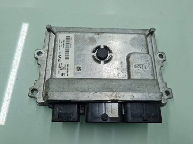 9800913080 Peugeot/Citroen