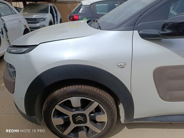 9801112580 Peugeot/Citroen