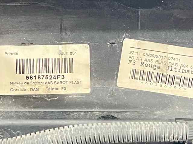 9801125577 Peugeot/Citroen