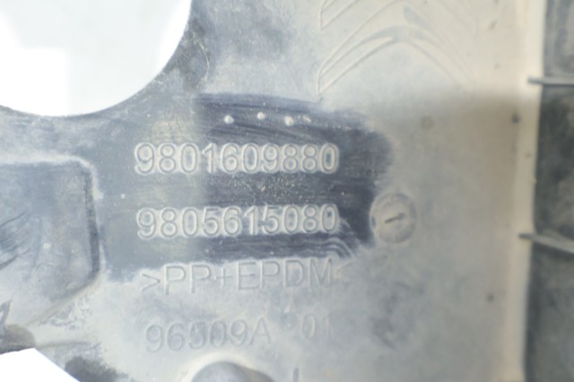 9801609880 Peugeot/Citroen