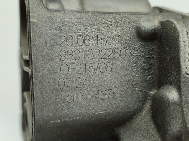 9801622280 Peugeot/Citroen