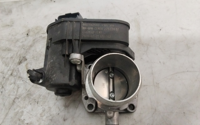 9801942080 Peugeot/Citroen