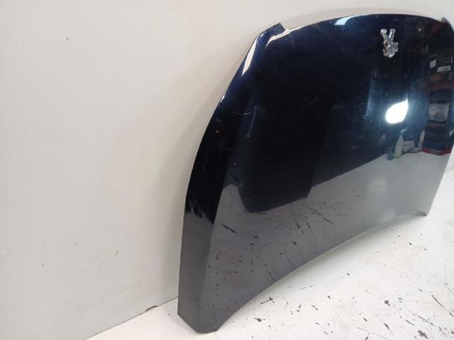 9802163180 Peugeot/Citroen