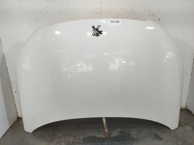 9802163180 Peugeot/Citroen