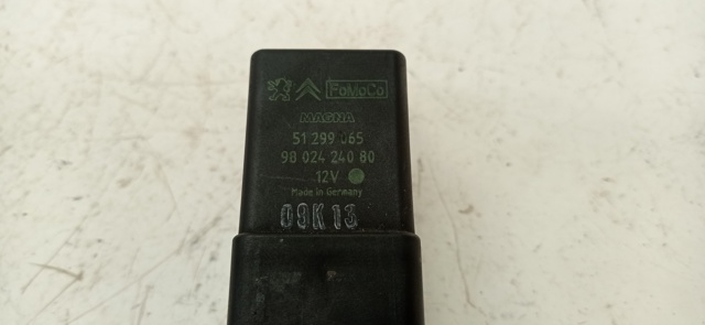 9802424080 Peugeot/Citroen