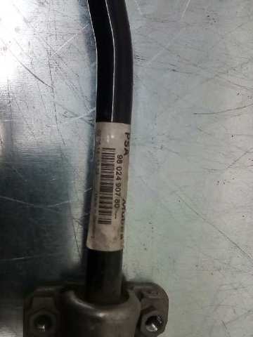 9802490780 Peugeot/Citroen