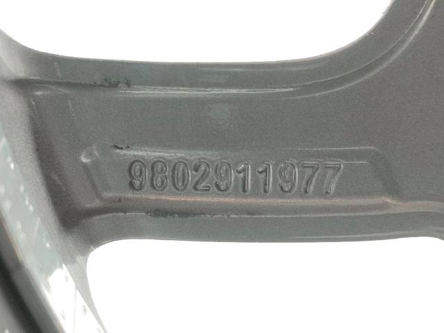 98029119ZV Peugeot/Citroen