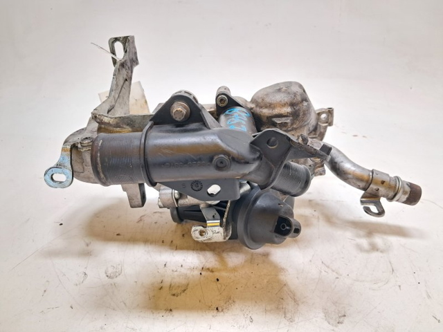 9802981580 Peugeot/Citroen