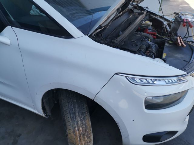9803150280 Peugeot/Citroen