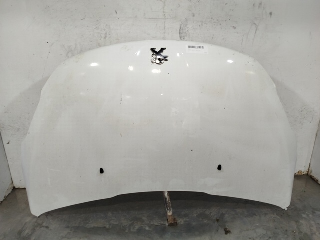 9803656980 Peugeot/Citroen