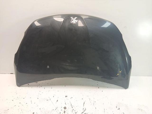 9803656980 Peugeot/Citroen