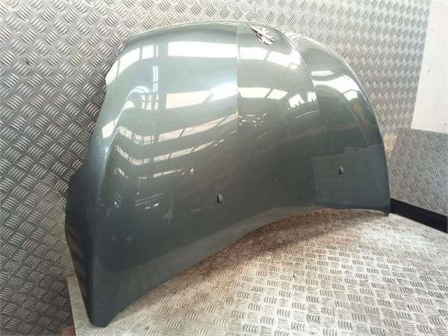 9803656980 Peugeot/Citroen