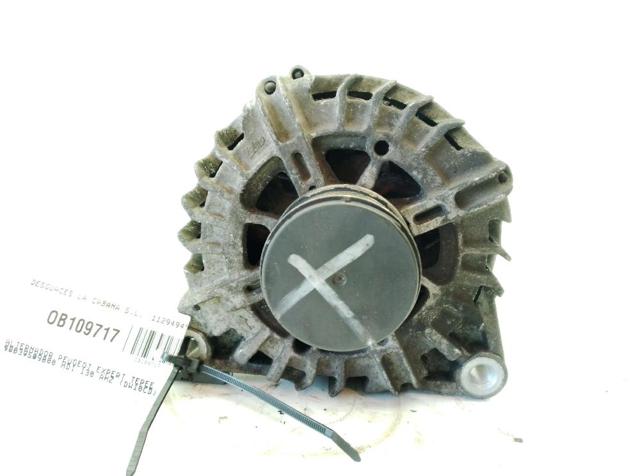 9803750980 Peugeot/Citroen
