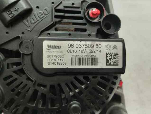 9803750980 Peugeot/Citroen