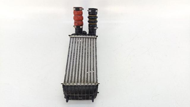 9803900780 Peugeot/Citroen