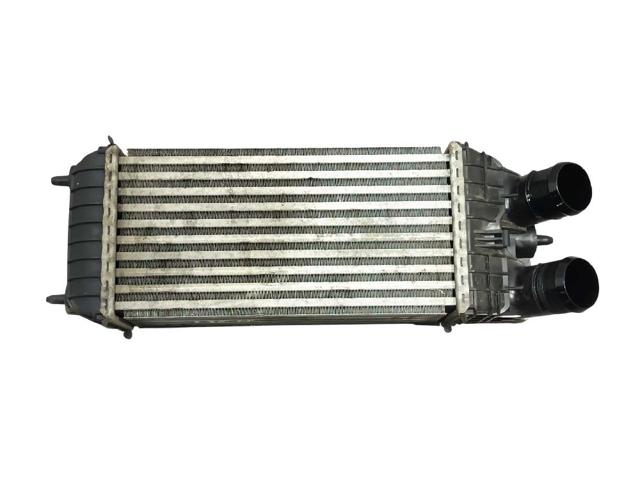 9803900780 Peugeot/Citroen