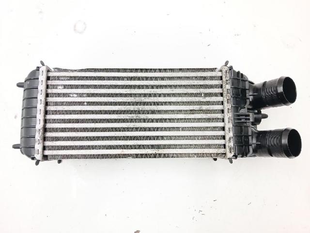 9803900780 Peugeot/Citroen
