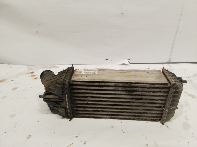 9803900780 Peugeot/Citroen
