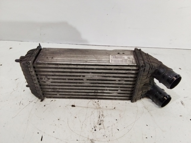 9803900780 Peugeot/Citroen