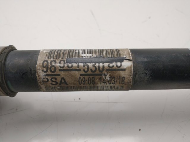 9806153080 Peugeot/Citroen