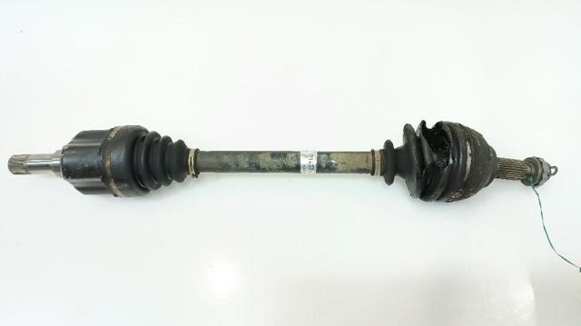 9806153080 Peugeot/Citroen