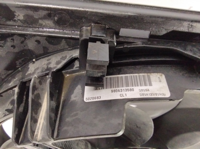 9806313580 Peugeot/Citroen