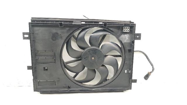 9806313580 Peugeot/Citroen
