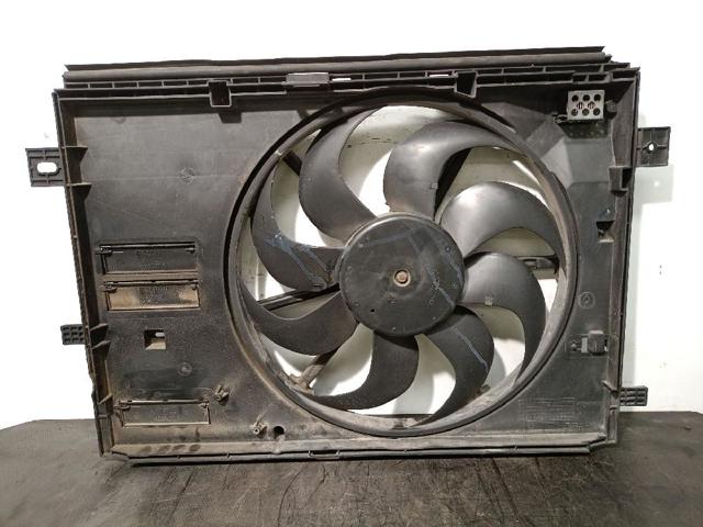 9806313580 Peugeot/Citroen