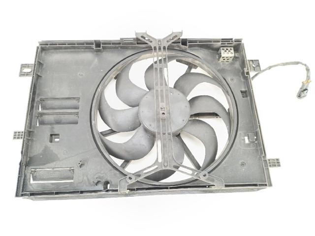 9806313580 Peugeot/Citroen