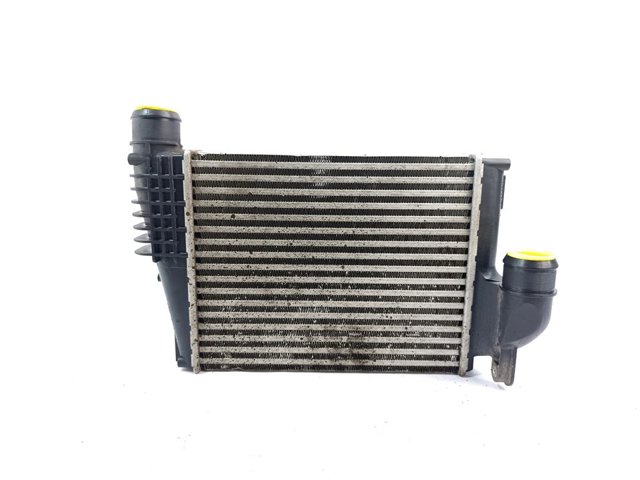 9806562180 Peugeot/Citroen