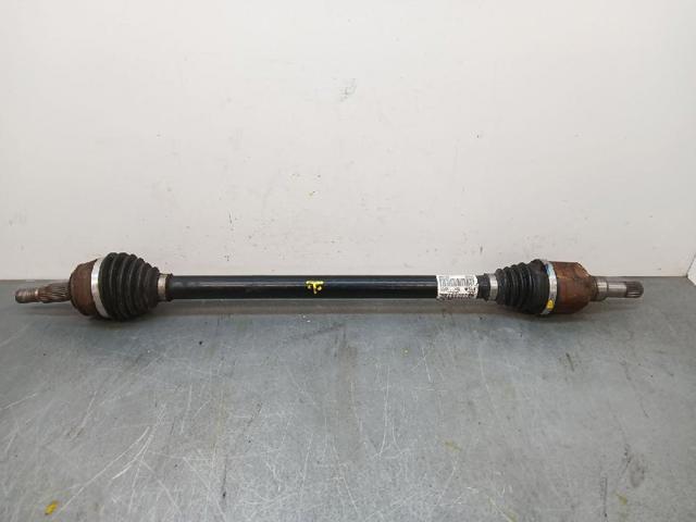 9806699780 Opel