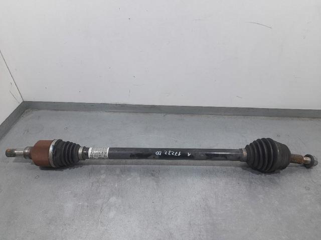 9806699780 Opel