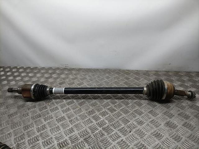 9806699780 Peugeot/Citroen