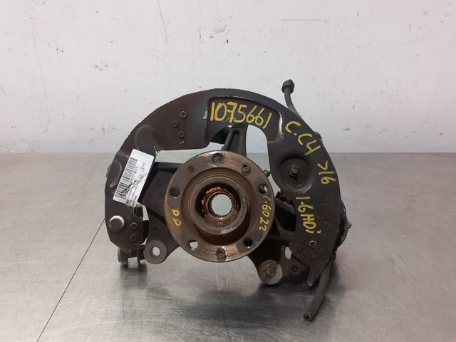 9806779480 Peugeot/Citroen