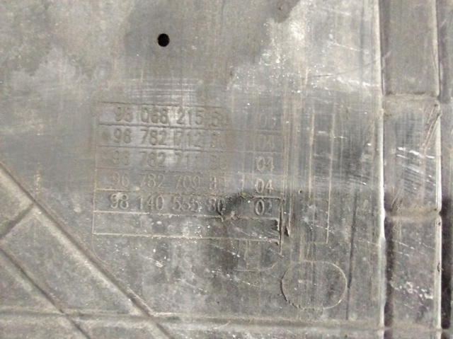 9806821580 Peugeot/Citroen