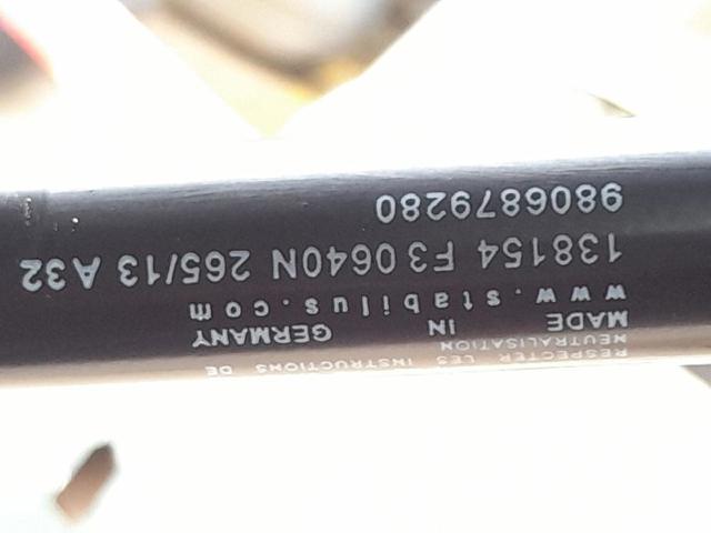 9806879380 Peugeot/Citroen